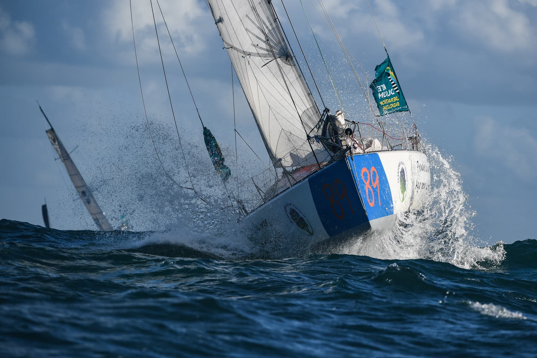 Prendre la mer, agir pour la forêt 2
