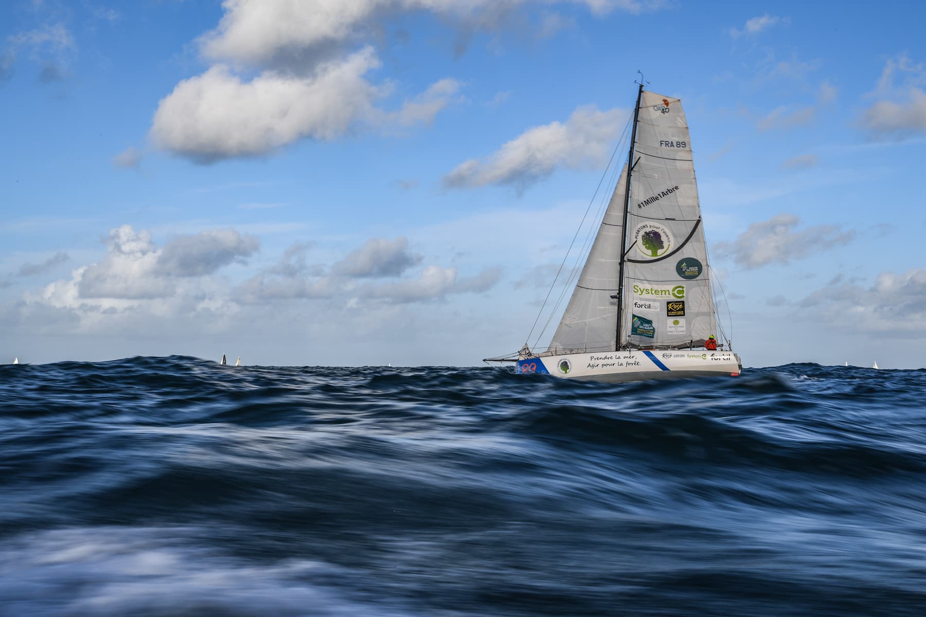 Prendre la mer, agir pour la forêt 3