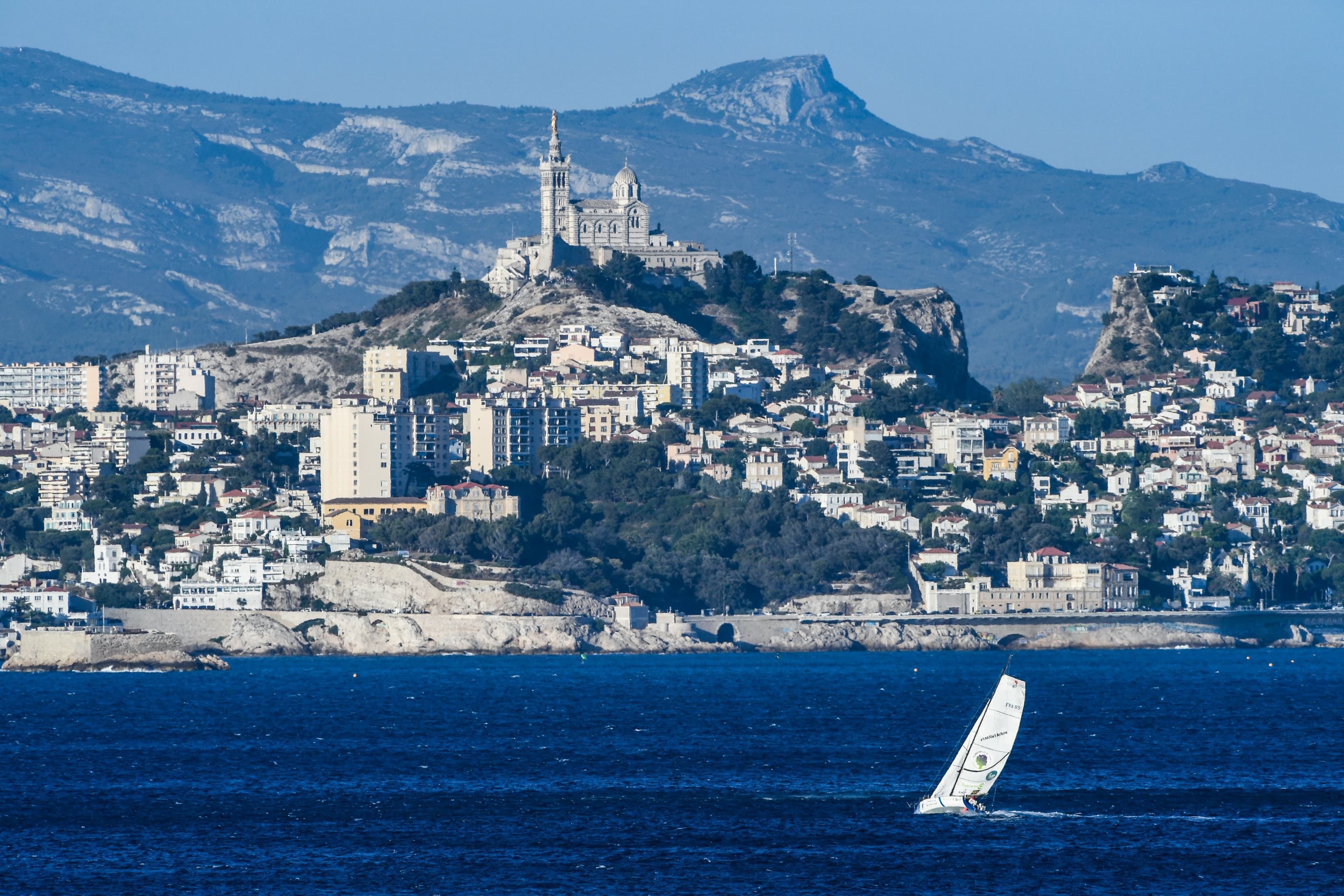 Prendre la mer, agir pour la forêt 6